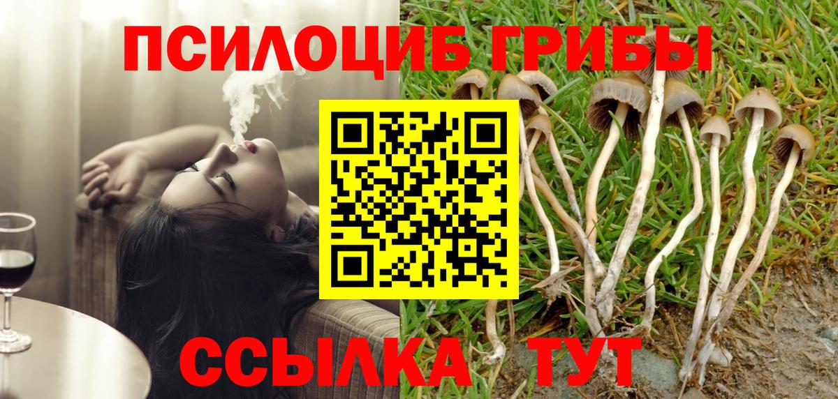 Псилоцибиновые грибы Psilocybine cubensis Кимовск